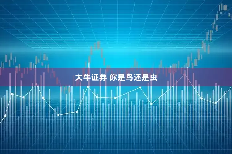 大牛证券 你是鸟还是虫