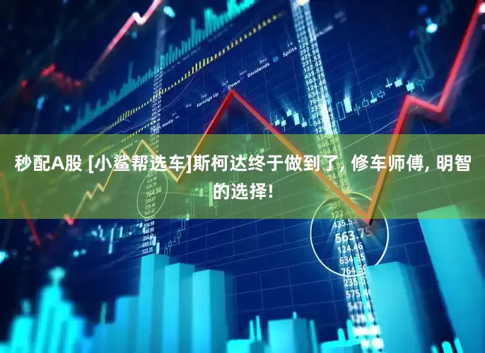 秒配A股 [小鲨帮选车]斯柯达终于做到了, 修车师傅, 明智的选择!