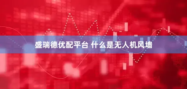 盛瑞德优配平台 什么是无人机风墙