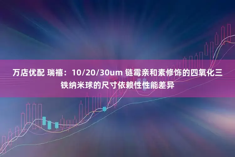 万店优配 瑞禧：10/20/30um 链霉亲和素修饰的四氧化三铁纳米球的尺寸依赖性性能差异
